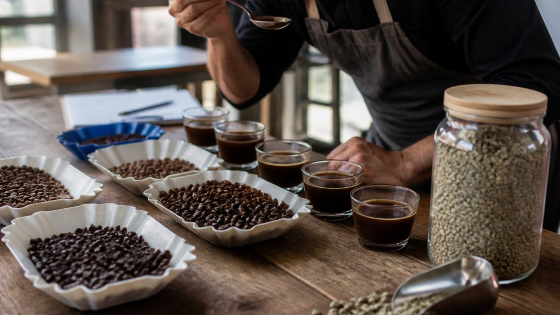 What Makes Coffee Beans Premium Quality: A 2026 Guide